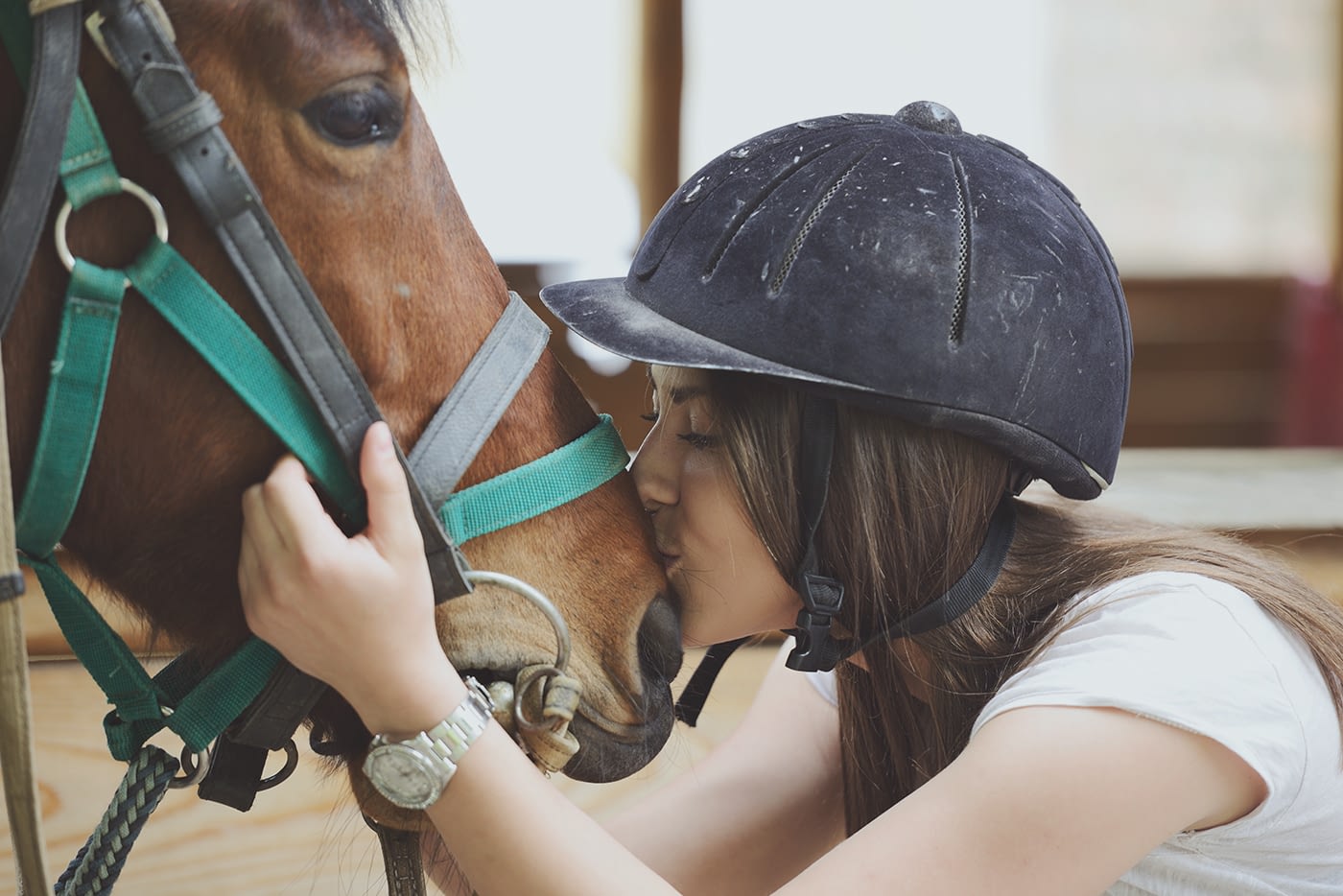 equestrian warredal