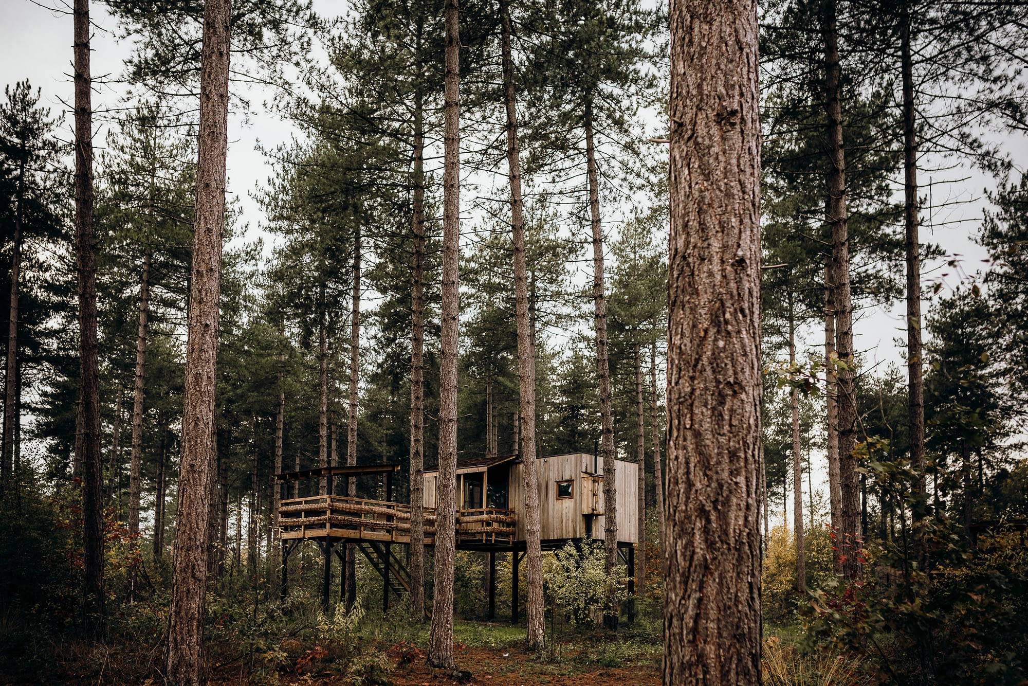 Warredal Cosy cabins